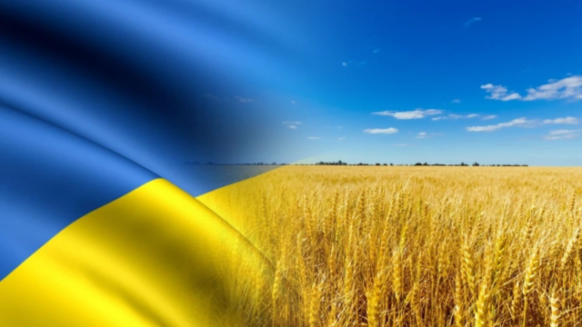 ON THE OCCASION OF THE INDEPENDENCE DAY OF UKRAINE