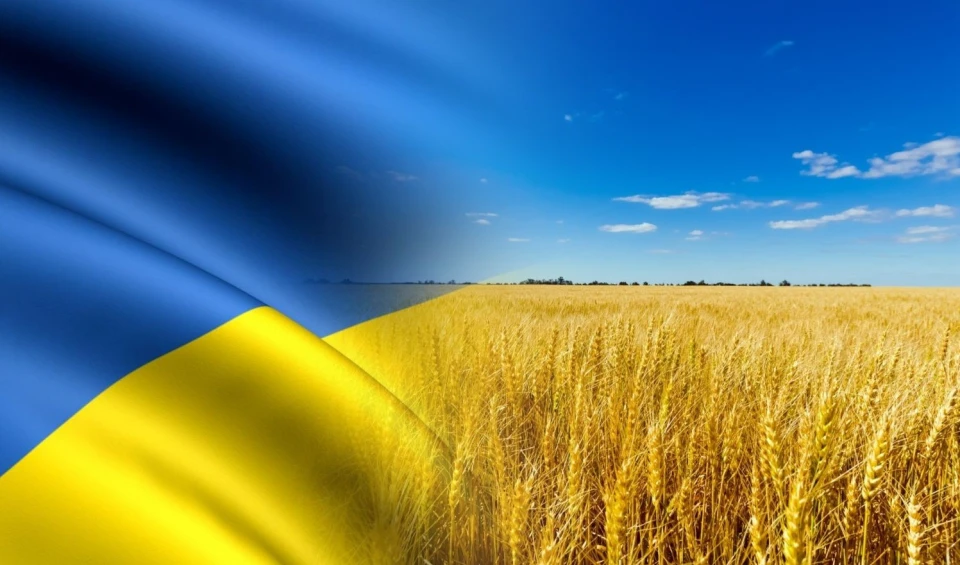 ON THE OCCASION OF THE INDEPENDENCE DAY OF UKRAINE