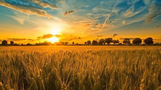 1467-Й ДЕНЬ ПОВНОМАСШТАБНОГО ВТОРГНЕННЯ